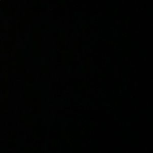 Meet your Posher, Rocio